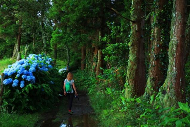 By The Sea Azores Ribeira Grande Ngoại thất bức ảnh
